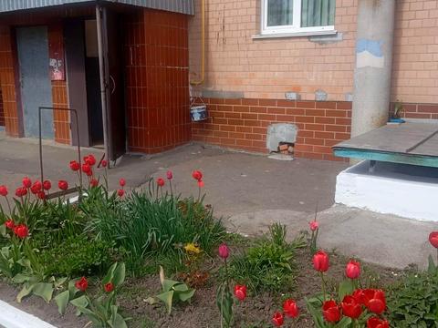 комерційна за адресою Соборна, 15