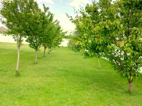 будинок за адресою Старо-Житомирська вул.