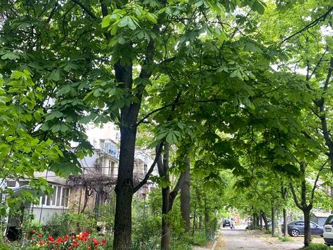 квартира по адресу Алексея Вадатурского ул. (Маршала Малиновского), 1