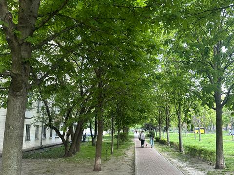 квартира за адресою Вишгородська вул., 24