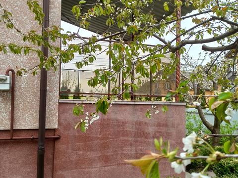 дом по адресу Миколи Куліша ул., 32