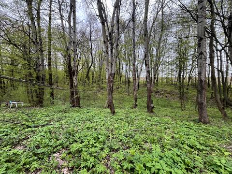 ділянка за адресою Невідомого солдата