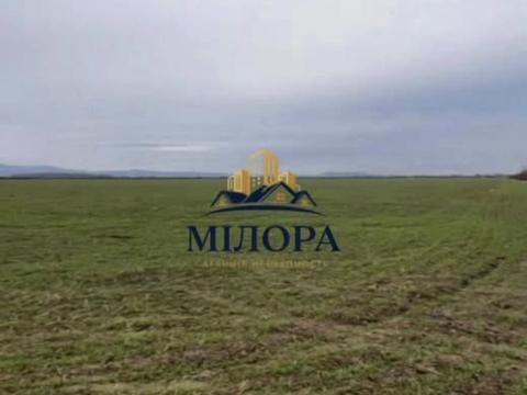 ділянка за адресою Концівська