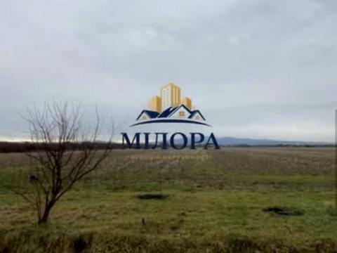 ділянка за адресою Концівська
