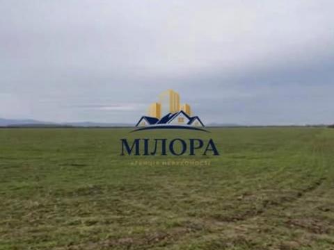 ділянка за адресою Концівська