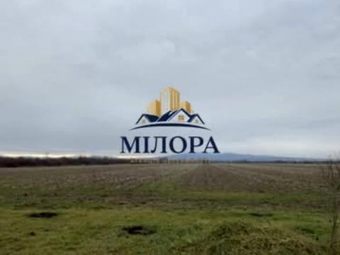 ділянка за адресою Концівська
