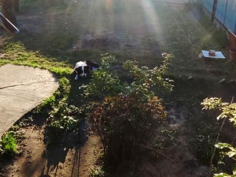будинок за адресою Гавришів Кут