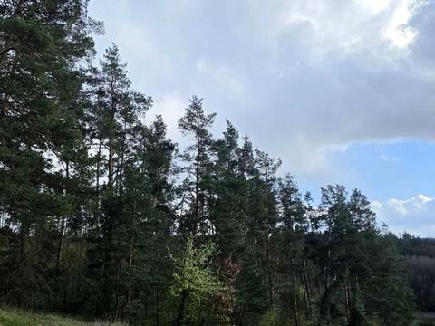 будинок за адресою Нова