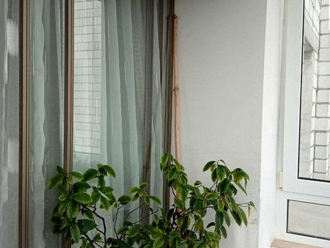 квартира за адресою Богдана-Ігора Антонича вул., 2