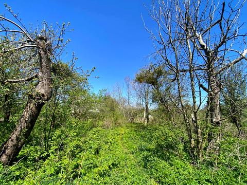 будинок за адресою Морґви вул., 59
