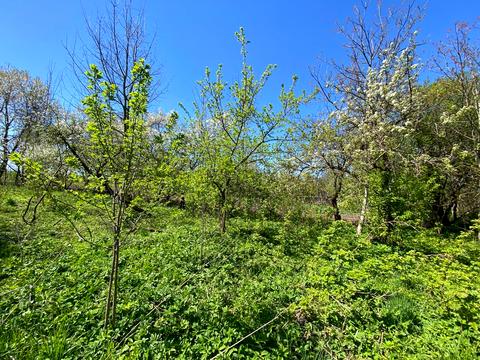 будинок за адресою Морґви вул., 59