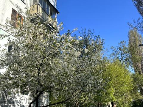 квартира за адресою Лесі Українки бульв., 14-А