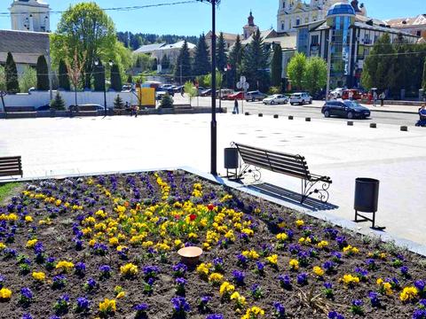 комерційна за адресою Базарна вул., 2