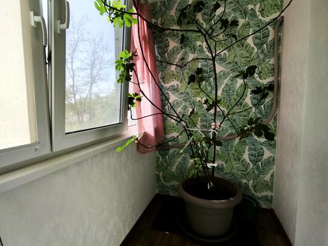 квартира по адресу Вишняковская ул., 6-А