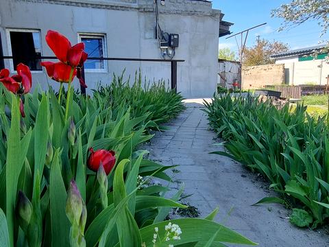 дом по адресу Педюменский пер., 14