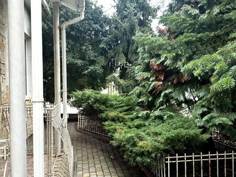 дом по адресу Горіхова ул.