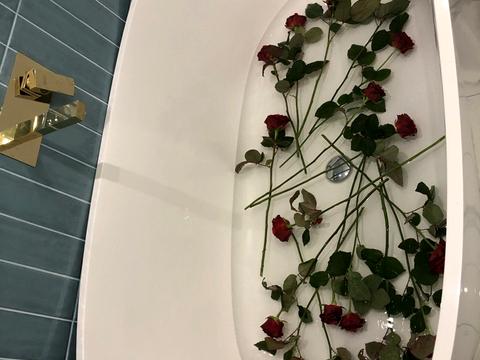 квартира по адресу Университетская ул., 3/2