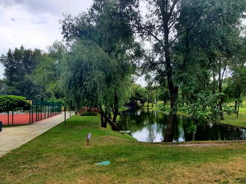 квартира за адресою Каштанова вул., 13