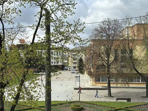 комерційна за адресою Соборна вул., 56