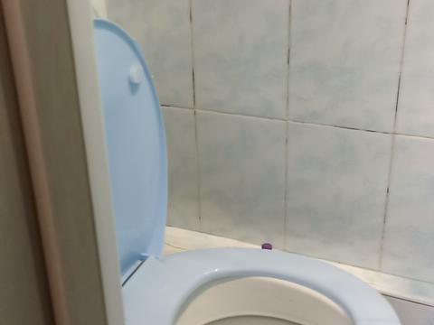 комната по адресу Пантелеймона Свистуна ул., 20