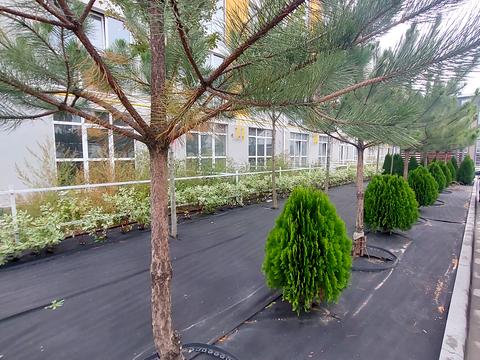 квартира за адресою Гідності вул., 3