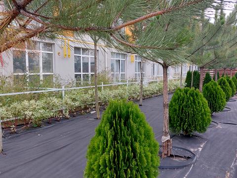 квартира за адресою Гідності вул., 3