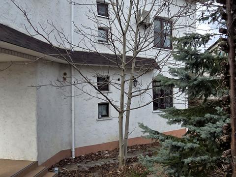дом по адресу Столична ул.