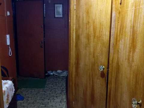квартира по адресу Елены Телиги ул., 41-В