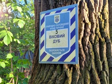 ділянка за адресою Якубенківська вул. (Тропініна), 5