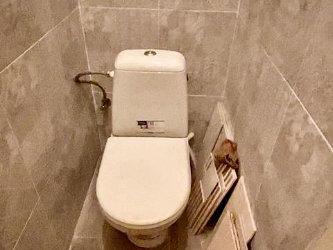 квартира по адресу Кропивницкого пл., 4