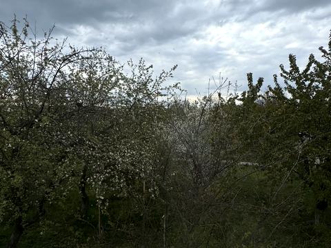 дом по адресу Зарічна, 1