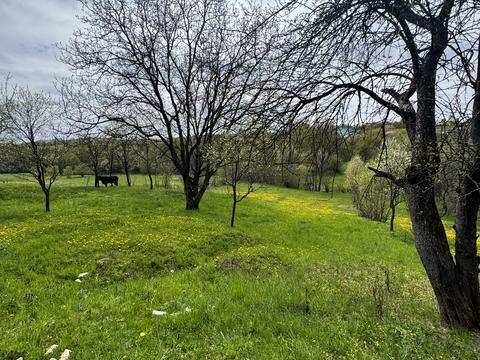 дом по адресу Провулок Франка
