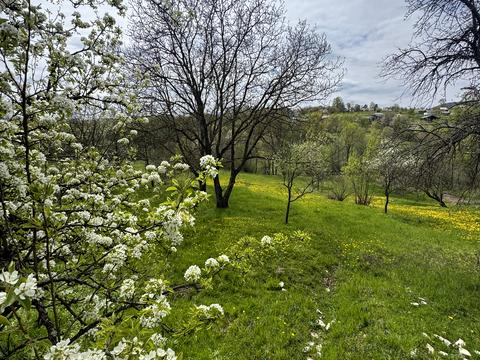 дом по адресу Провулок Франка