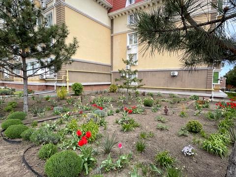 квартира за адресою смт. Таїрове, Приміська вул., 1