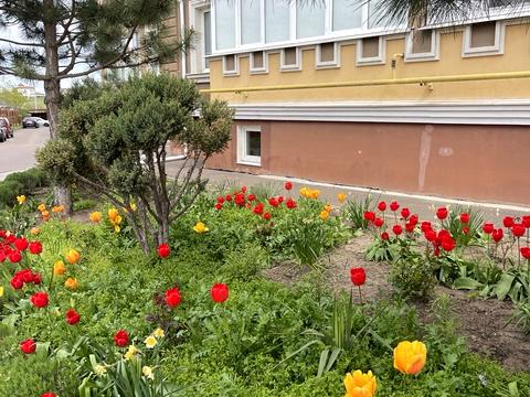 квартира за адресою смт. Таїрове, Приміська вул., 1