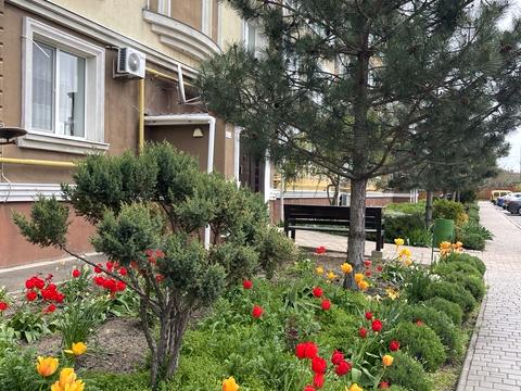 квартира за адресою смт. Таїрове, Приміська вул., 1