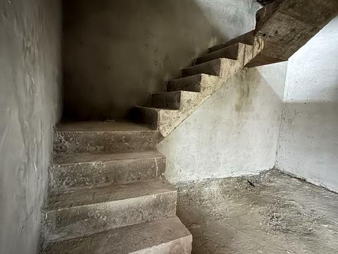дом по адресу с. Борки, Янівська