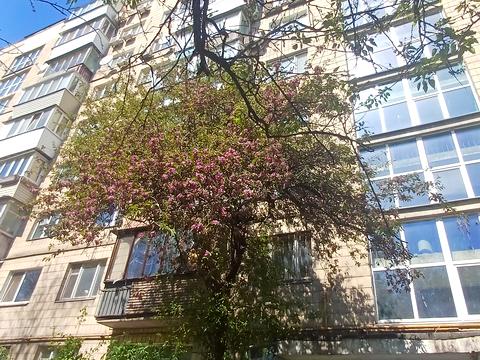 квартира за адресою Білоруська вул., 23