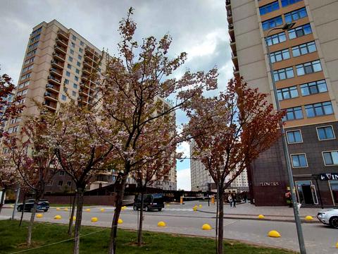 квартира за адресою Перлинна вул., 9