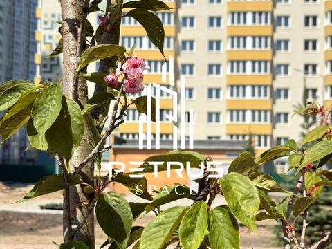 квартира за адресою Бориса Гмирі вул., 22-Б