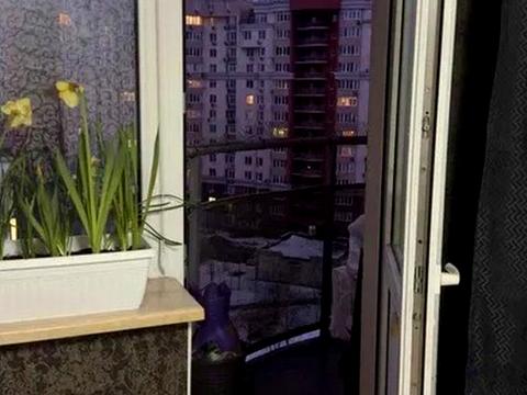 квартира по адресу Степана Рудницкого ул. (Вильямса академика), 3/7