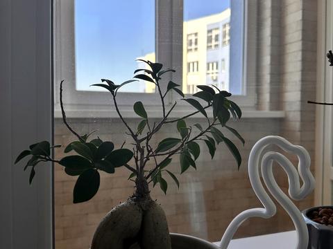 квартира по адресу Академика Глушкова просп., 9-В