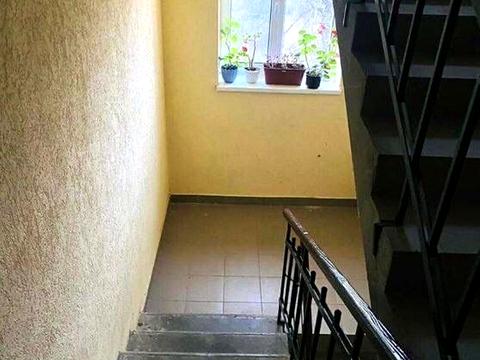квартира за адресою вул Зелена, 3