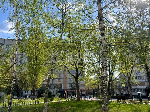квартира по адресу Гвардейцев-Широнинцев ул., 123