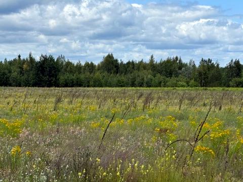 ділянка за адресою Богдана Хмельницького
