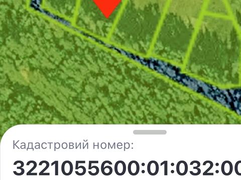 1864525892814267