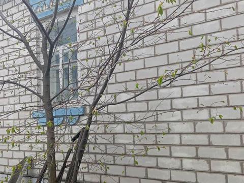 будинок за адресою Лесная