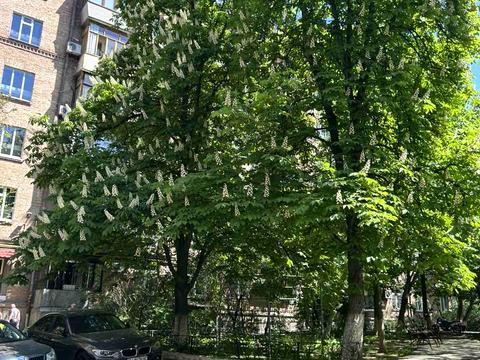 квартира по адресу Никольско-Ботаническая ул., 17/19