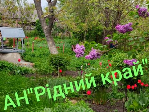 будинок за адресою Центральна