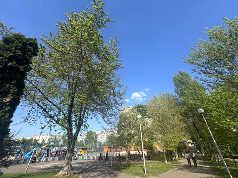 квартира по адресу Леси Украинки ул., 21